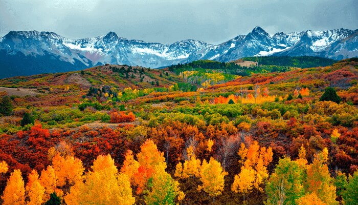 An aerial image of a forest of colorful trees in the fall, including yellow, bright orange, red, rust, and bright green. In the background, views of snowcapped mountains.