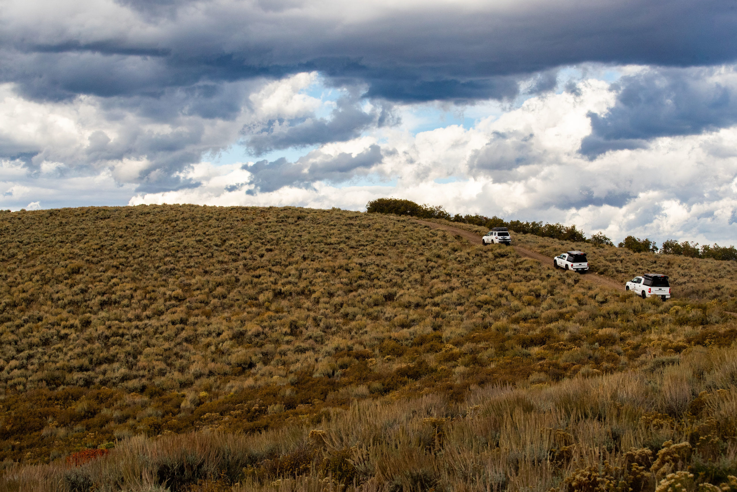 Image of three Colorado Overlander vehicles- a Toyota 4Runner, Tacoma, and Tundra driving up a dirt road surrounded by sage bush.