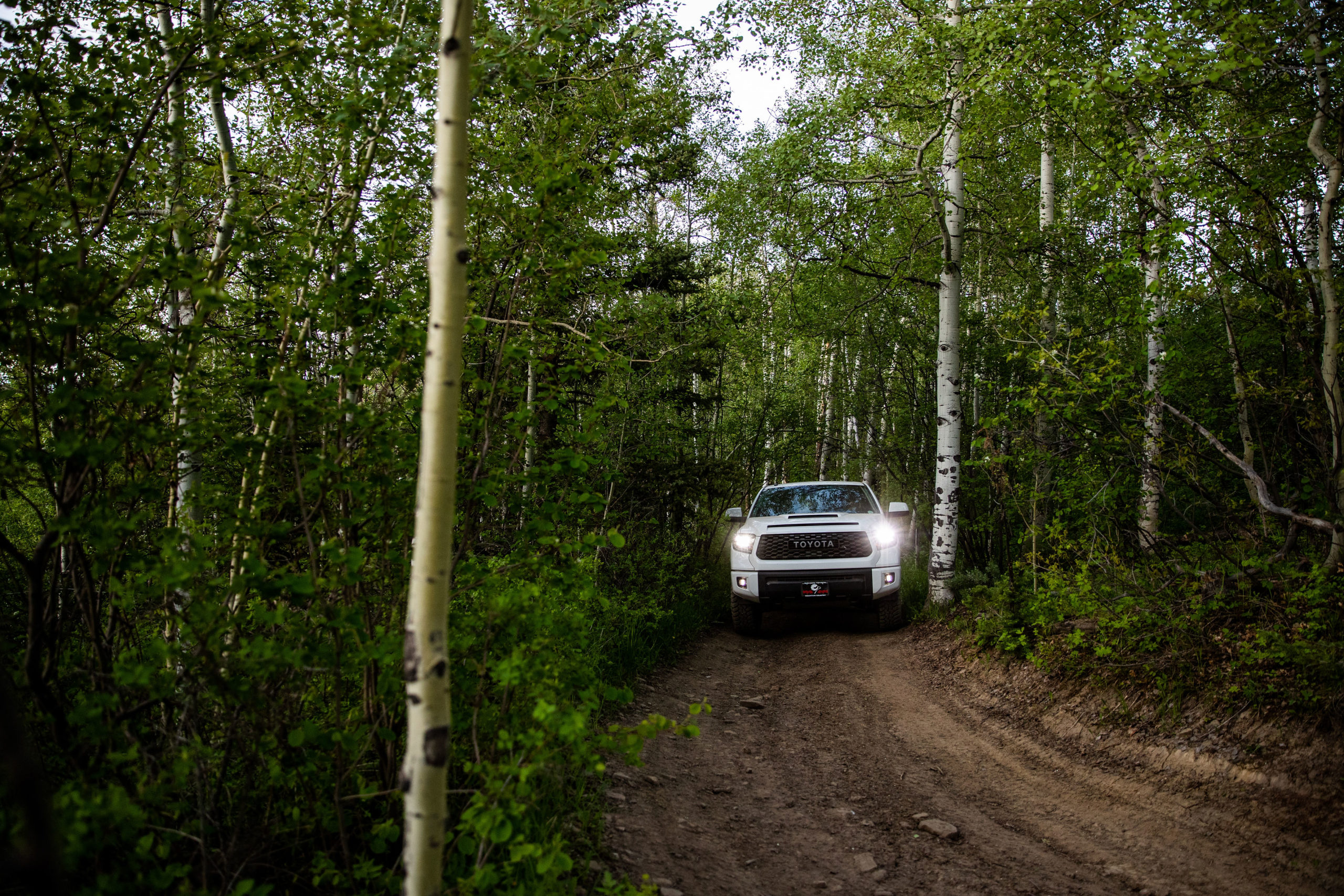 Image of a Colorado Overlander vehicle driving on a dirt road in the woods