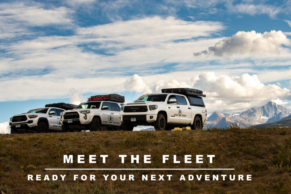 Image of vehicles lined up in a row representing the fleet at Colorado Overlander