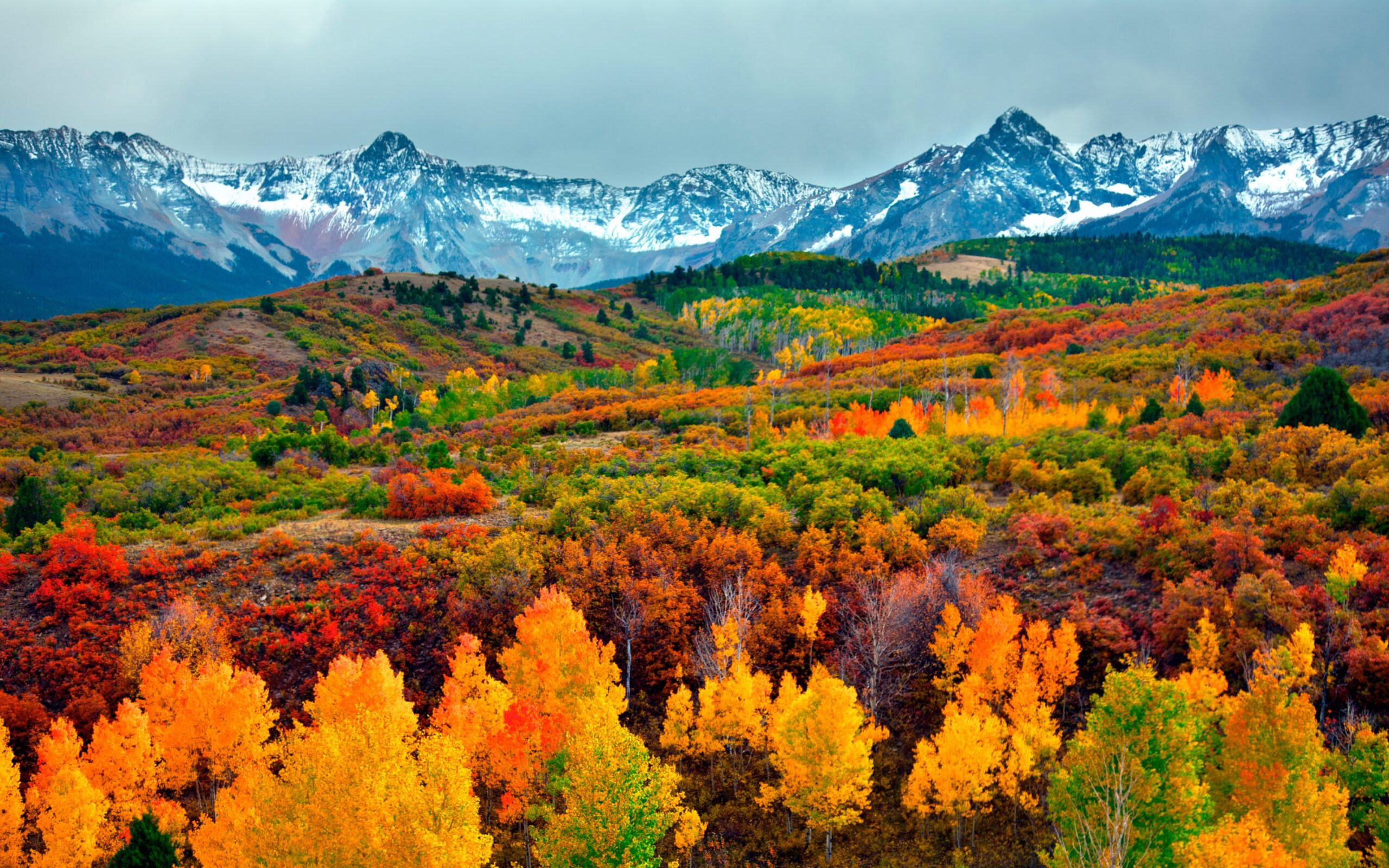 Fall Colors in the San Juan Mountains Colorado